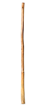 CrookedStixz Didgeridoo (AH373)